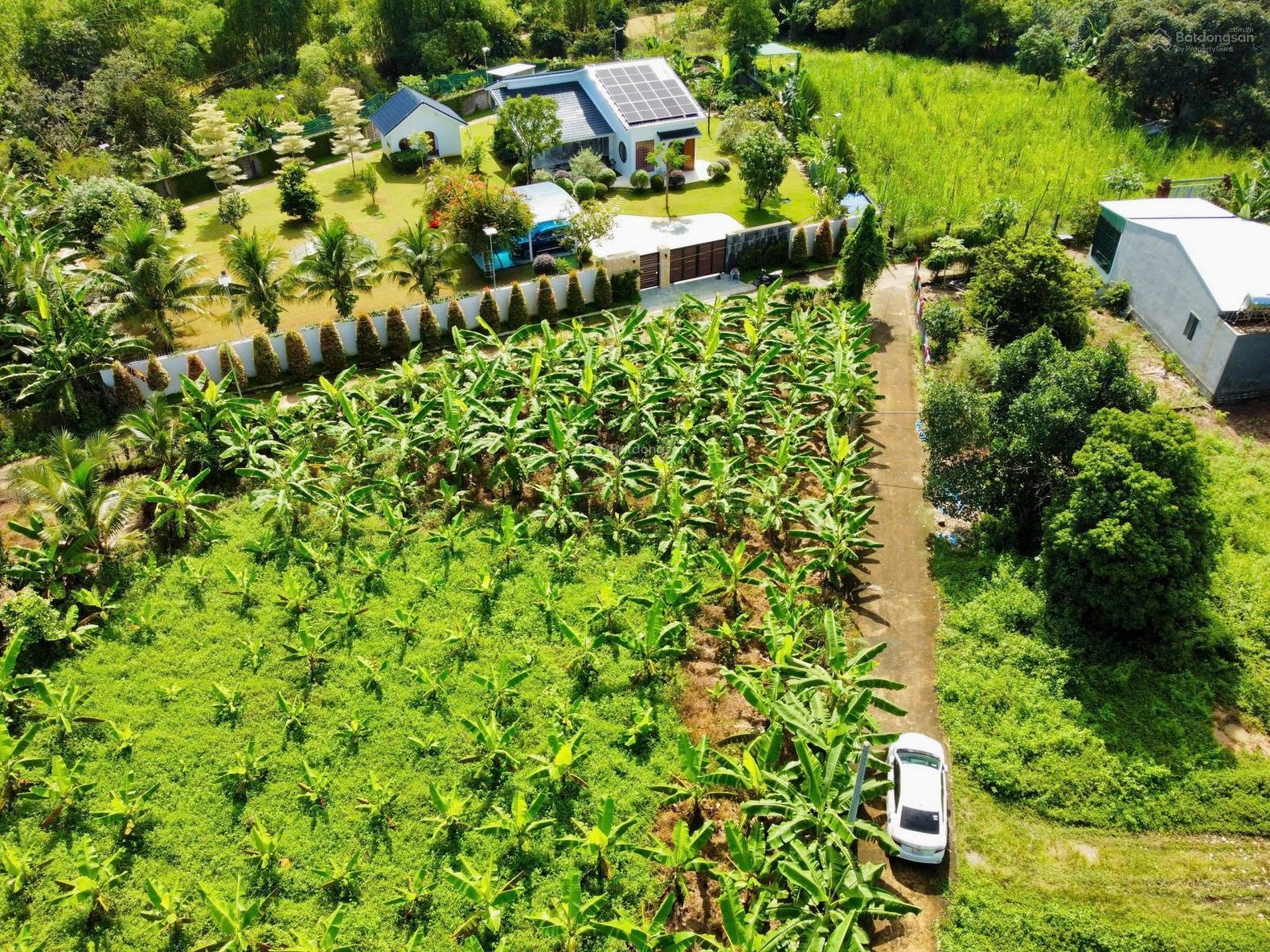 Cắt bán lô đất full thổ cư xã Diên Bình cũ nay là xã Suối Hiệp. 107m2 full thổ cư giá 630 triệu