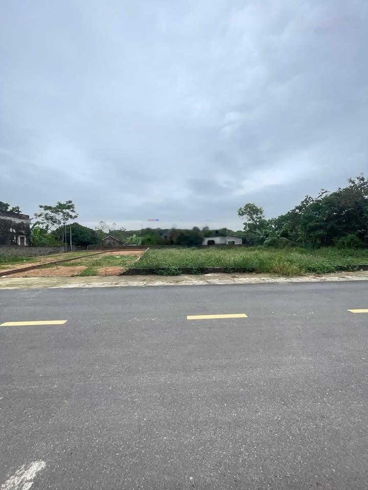Đất trục chính đường tân thành hot nhất xã cẩm lĩnh, ba vì. liên hệ em duy 0963699191