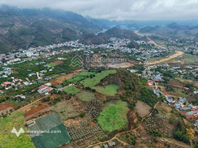 Bán đất full thổ cư, cách đường 31m 20m. Vị trí cao thoáng đẹp, trung tâm