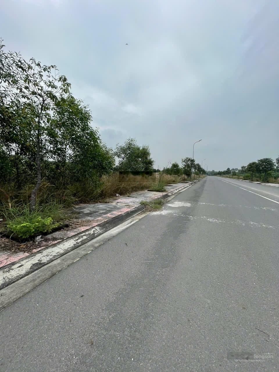 Bán đất mặt tiền đường a tân phước, phường phú mỹ, tp. hồ chí minh