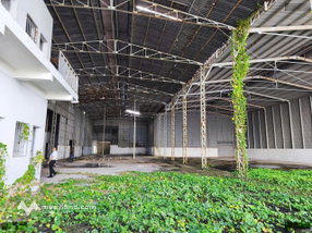 Bán kho xưởng 2MT QL91 sau giáp Sông Hậu, DT 2.556m², giá 12,136 tỷ