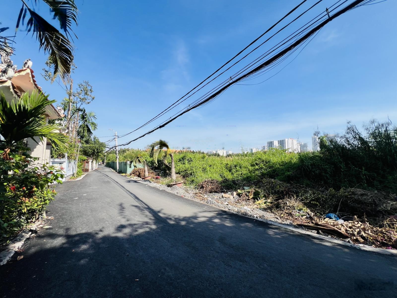 Đất xây biệt thự, đường nhựa 7m, cách MT hơn 100m, 7m x 21m, 147m2, 7.99 tỷ, không quy hoạch