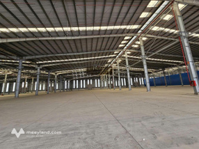 Cho thuê kho xưởng 5.000m2 - 10.000m2, trong cụm CN Cần Đước, Long An, PCCC tự động