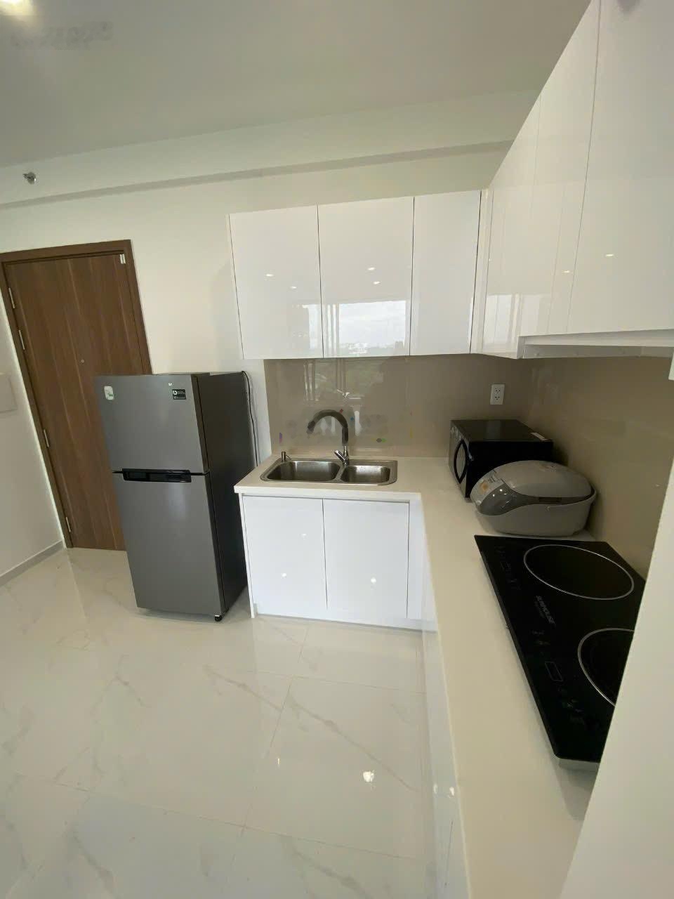 Cho thuê căn hộ Dlusso 2PN1WC dt 55m2 full nội thất tầng trung giá 12 triệu