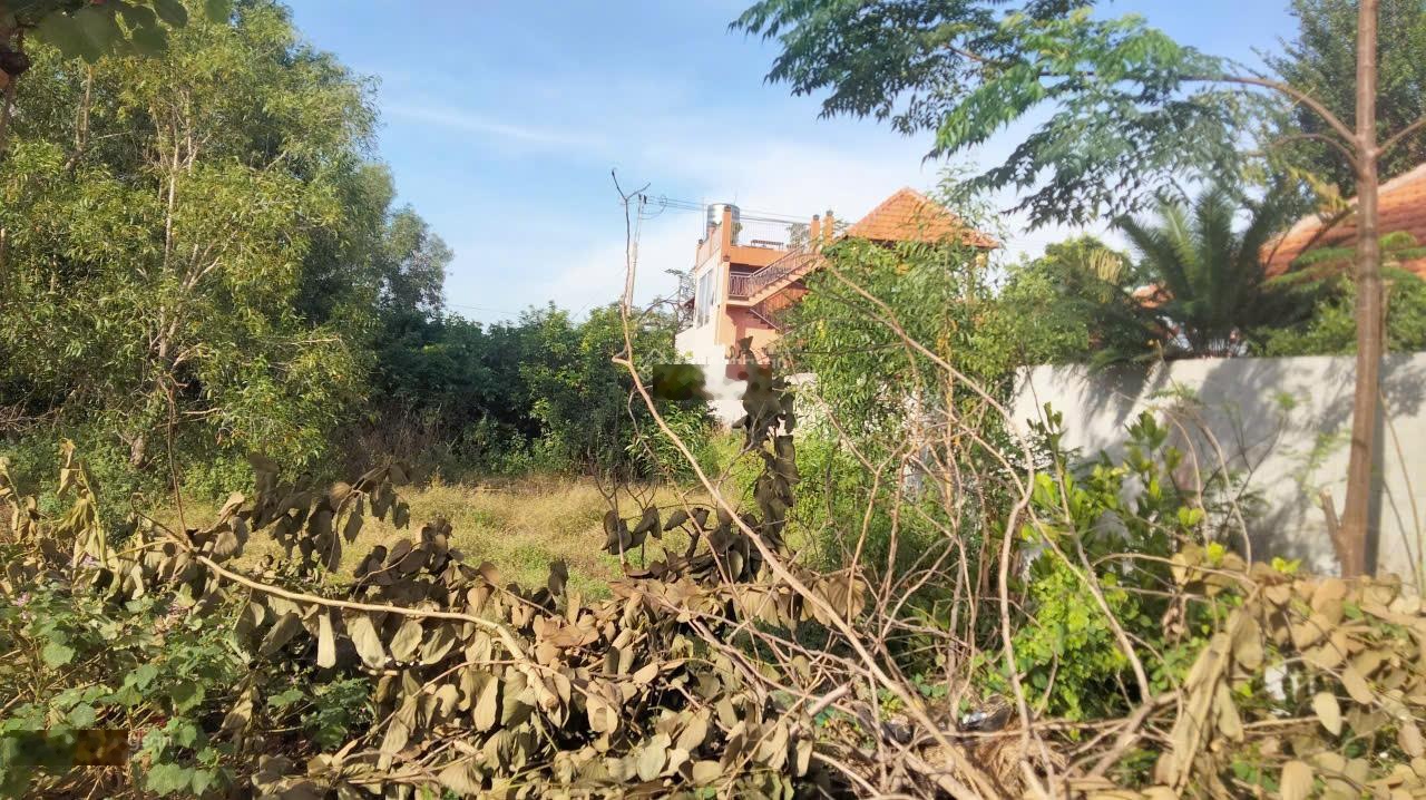 Bán đất hai mặt tiền Đường Nguyễn Du và Ngô Tất Tố , xã Tân Phước.