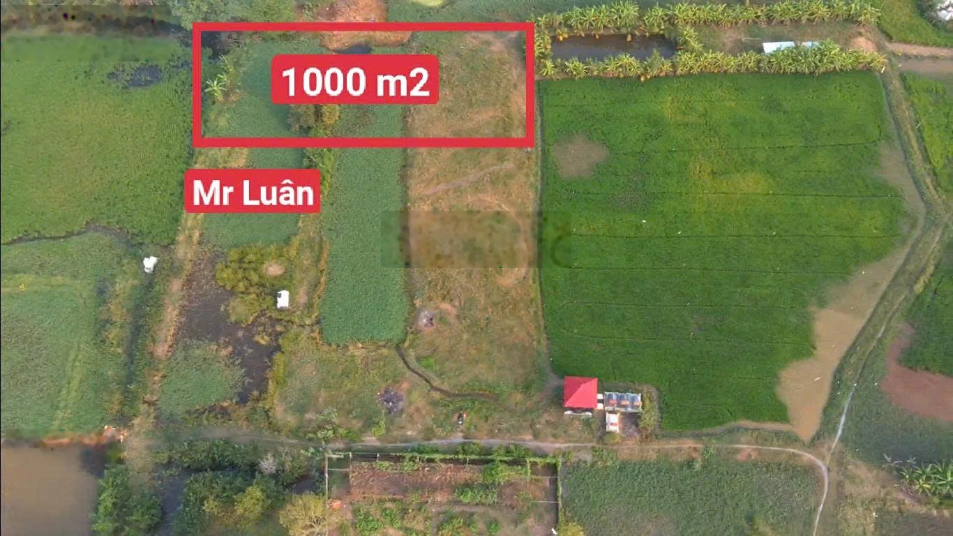 Siêu vip: Đường Võ Văn Thu, Xã Hưng Long - Bình Chánh 2,5 tỷ