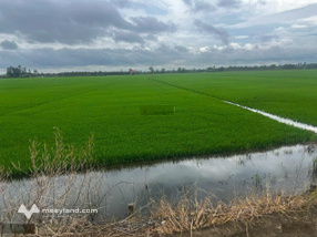 Bán đất 2800m2 tại Phường 2, Kiến Tường, Long An, 10 tỷ