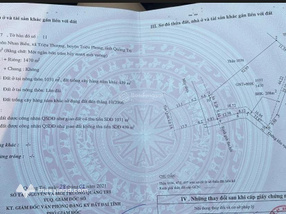 Đất diện tích lớn phù hợp phân lô - đầu tư làm dự án