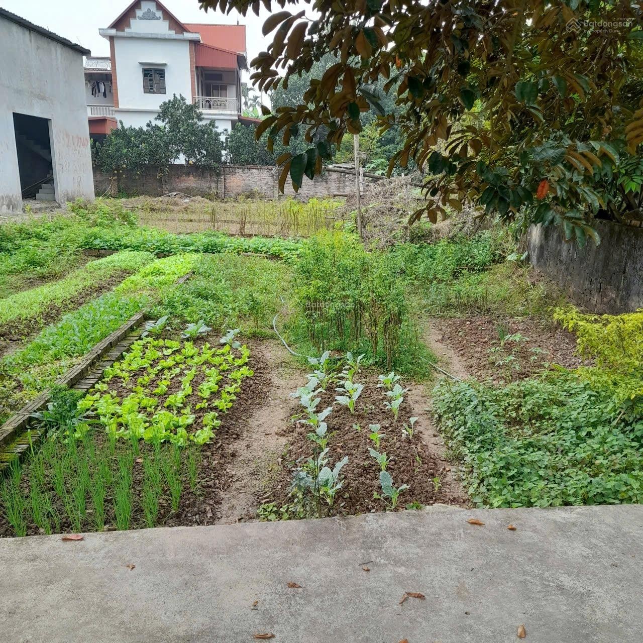 44m2 Trạch Mỹ Lộc, Phúc Thọ giá 1.35 tỷ