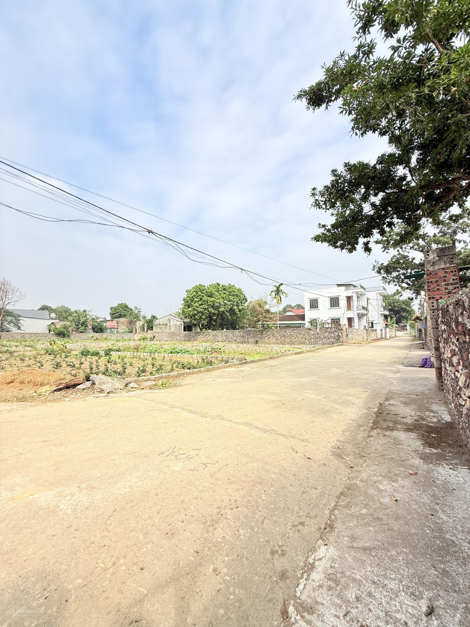 Đầu tư tích sản giá rẻ không nên bỏ qua