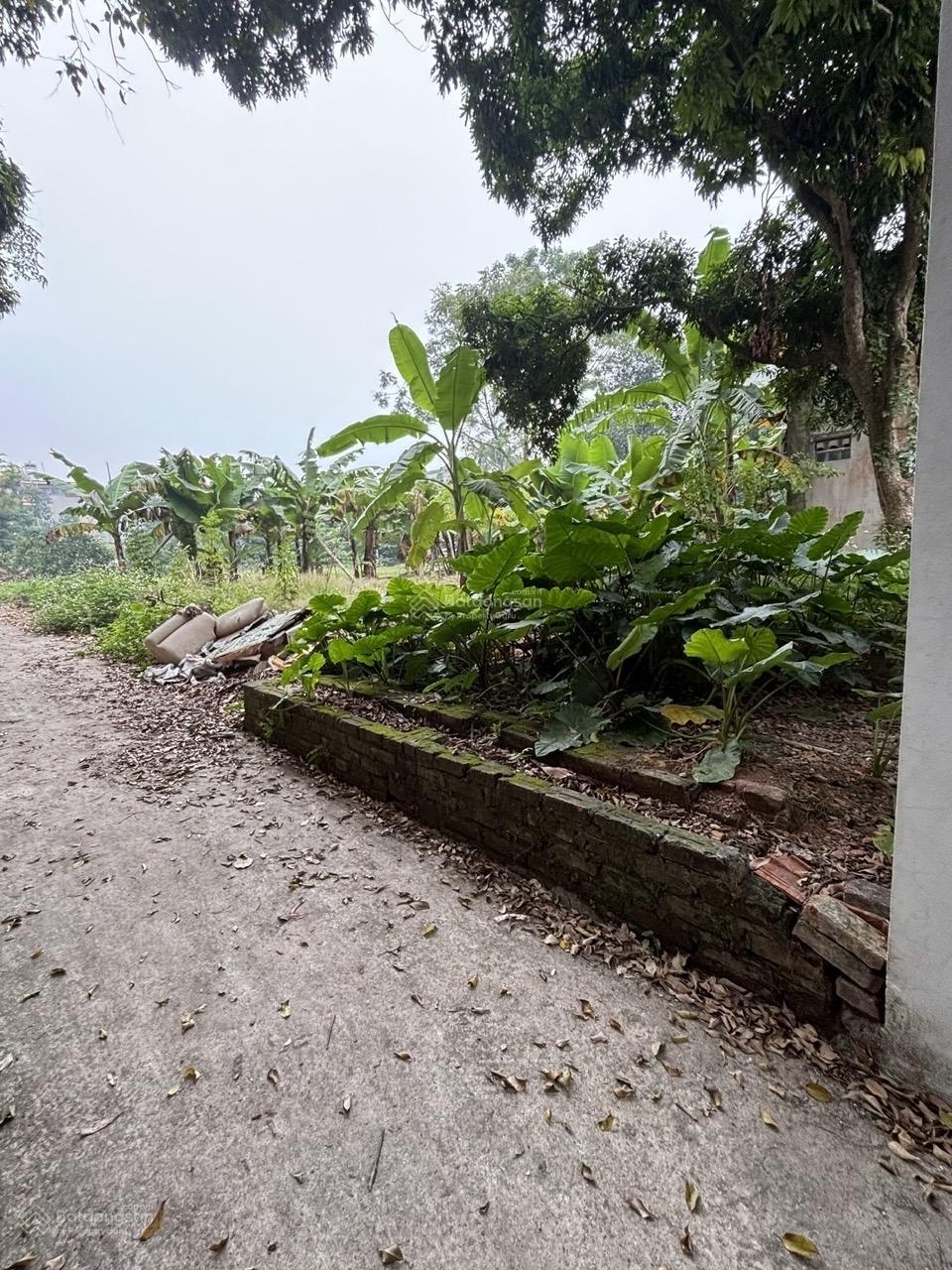 Đất chương mỹ lô góc 3 mặt thoáng 889,3m2-21tỷ- container vào đất