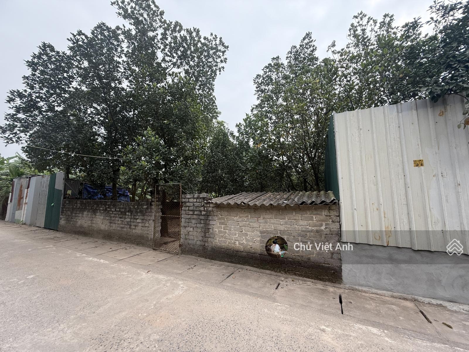 Hàng độc - 600m2 đất nông nghiệp đã có QH lên thổ cư - MT 12m - ô tô tránh dừng đỗ - an sinh đỉnh