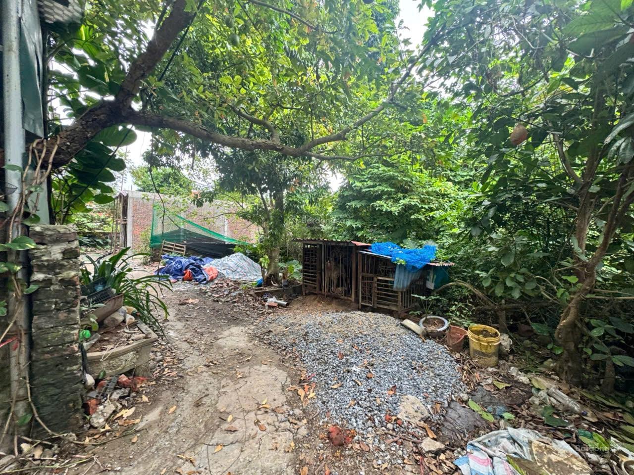 93m2 mt6.2m đất ngủ quên tại mỹ nội bắc hồng giá chi 5 tỷ