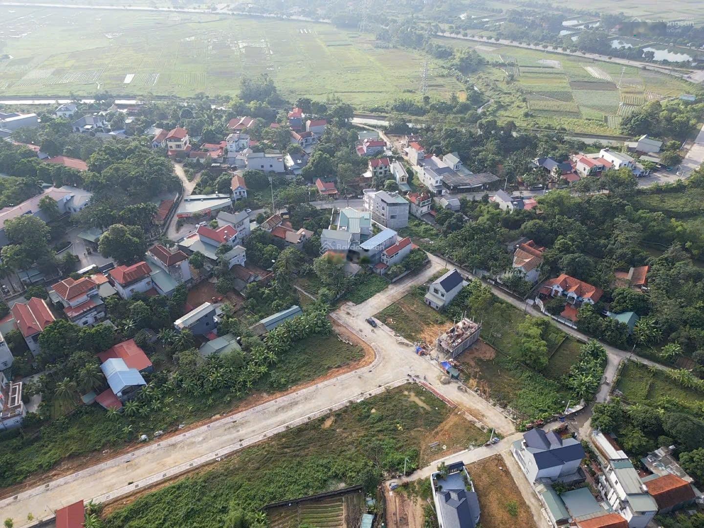 Bán Đất Thị Trấn Hợp Hòa Tam Dương 185m2