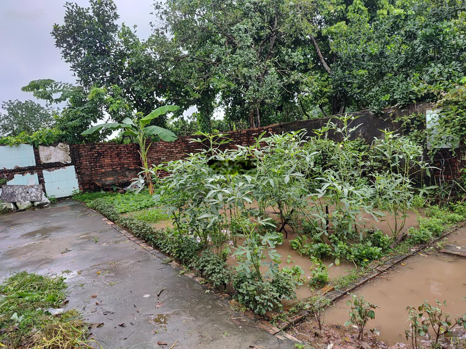 Bán 48m tại dương quang gia lâm giá chỉ 2,1 tỷ