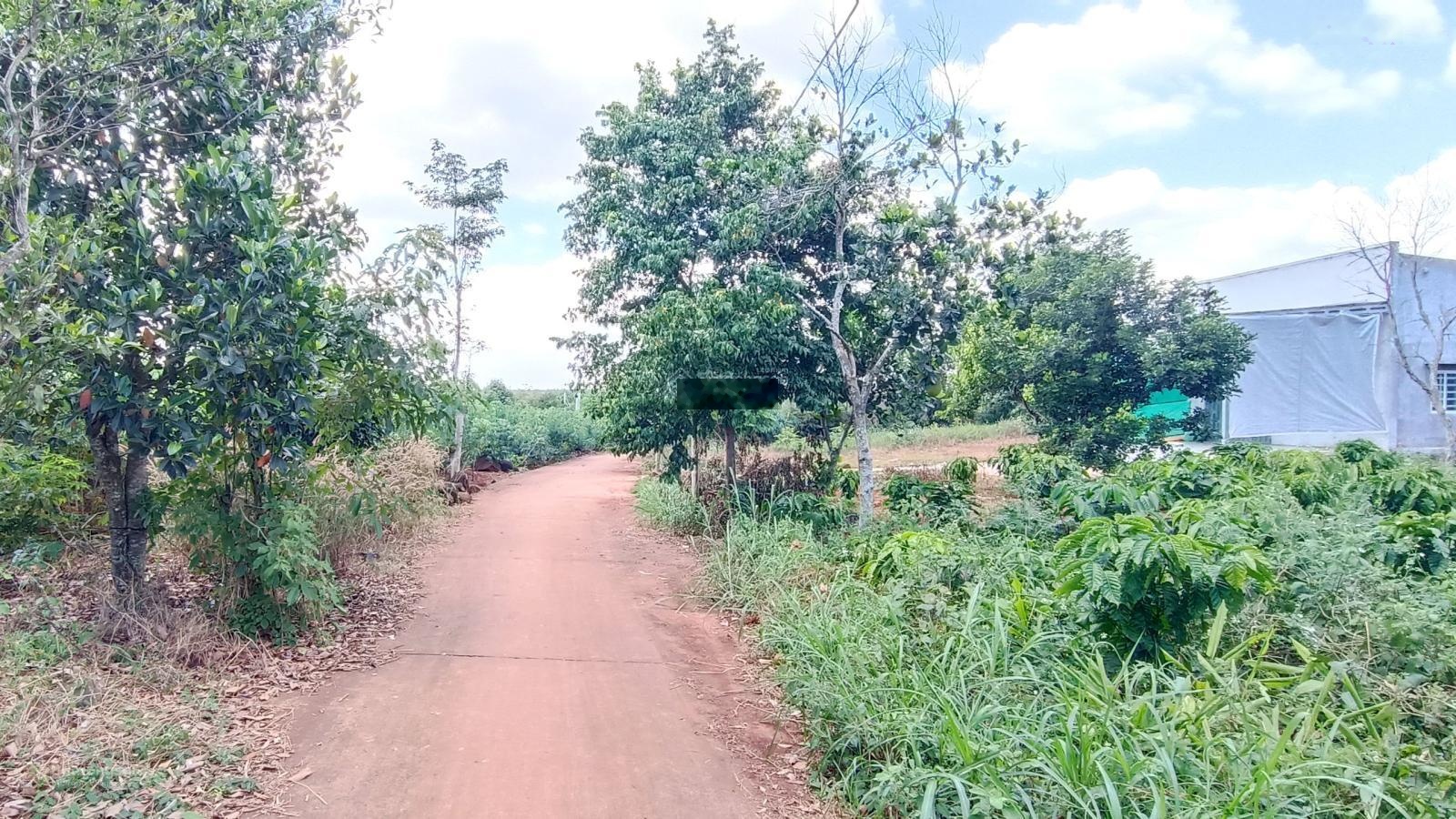 Bán đất 3,2 tỷ gần 2 sào mặt tiền 27m full hồng khu dân cư có 100m2 thổ cư vị trí đẹp giá tốt