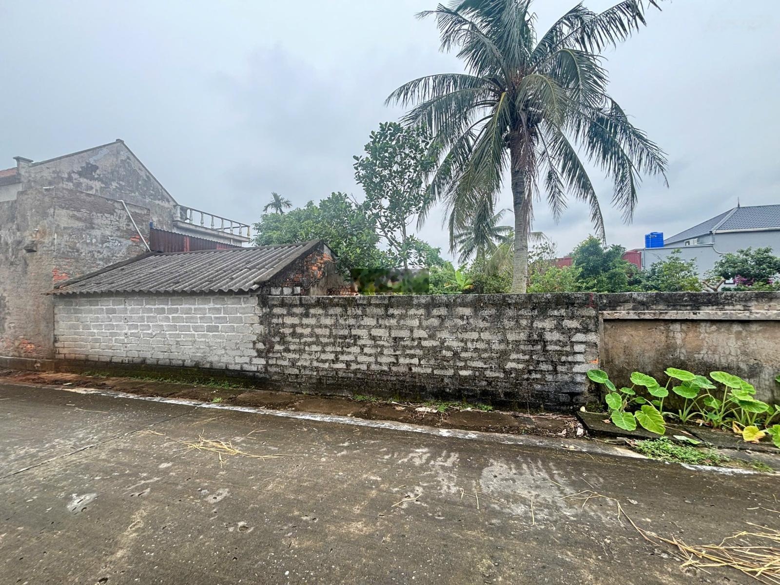 Bán đất Sơn Đông Tiên Minh Tiên Lãng, 120m, MT 5m, đường ô tô, gần KCN, giá 1,3 tỷ