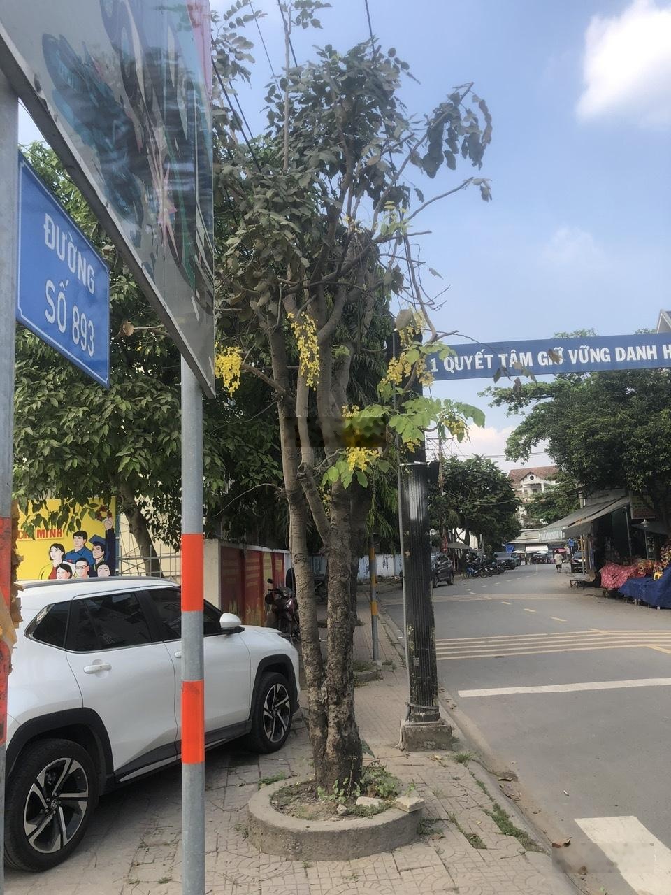 Chính chủ cho thuê Đất và nhà, phường Long Trường (P. Phú Hữu cũ), TP.Thủ Đức. Đường Xe Tải