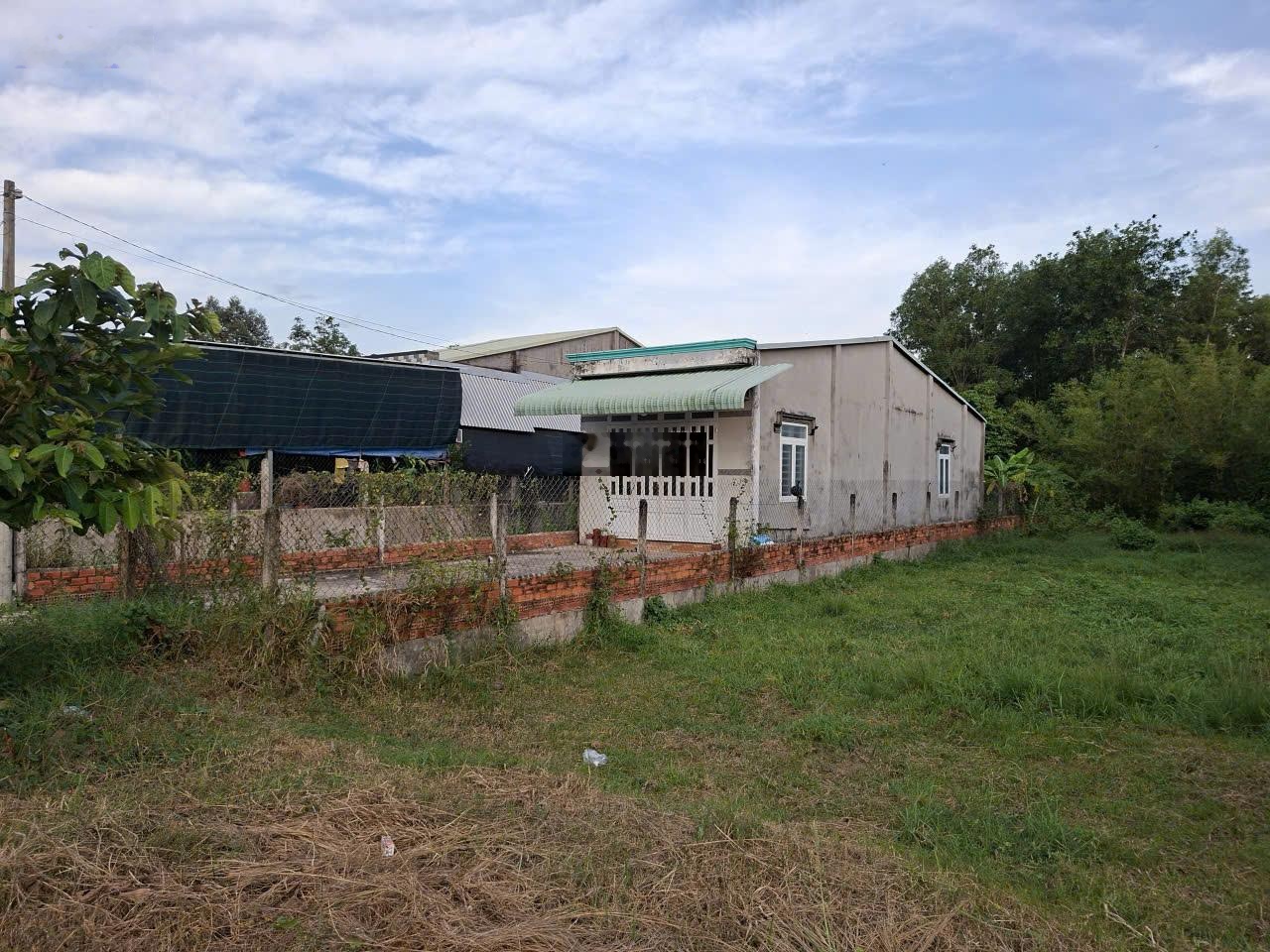 Cần thanh lý gấp đất tại mặt tiền đường Phú Thuận- xã An Nhơn Tây , thành phố Hồ Chí Minh