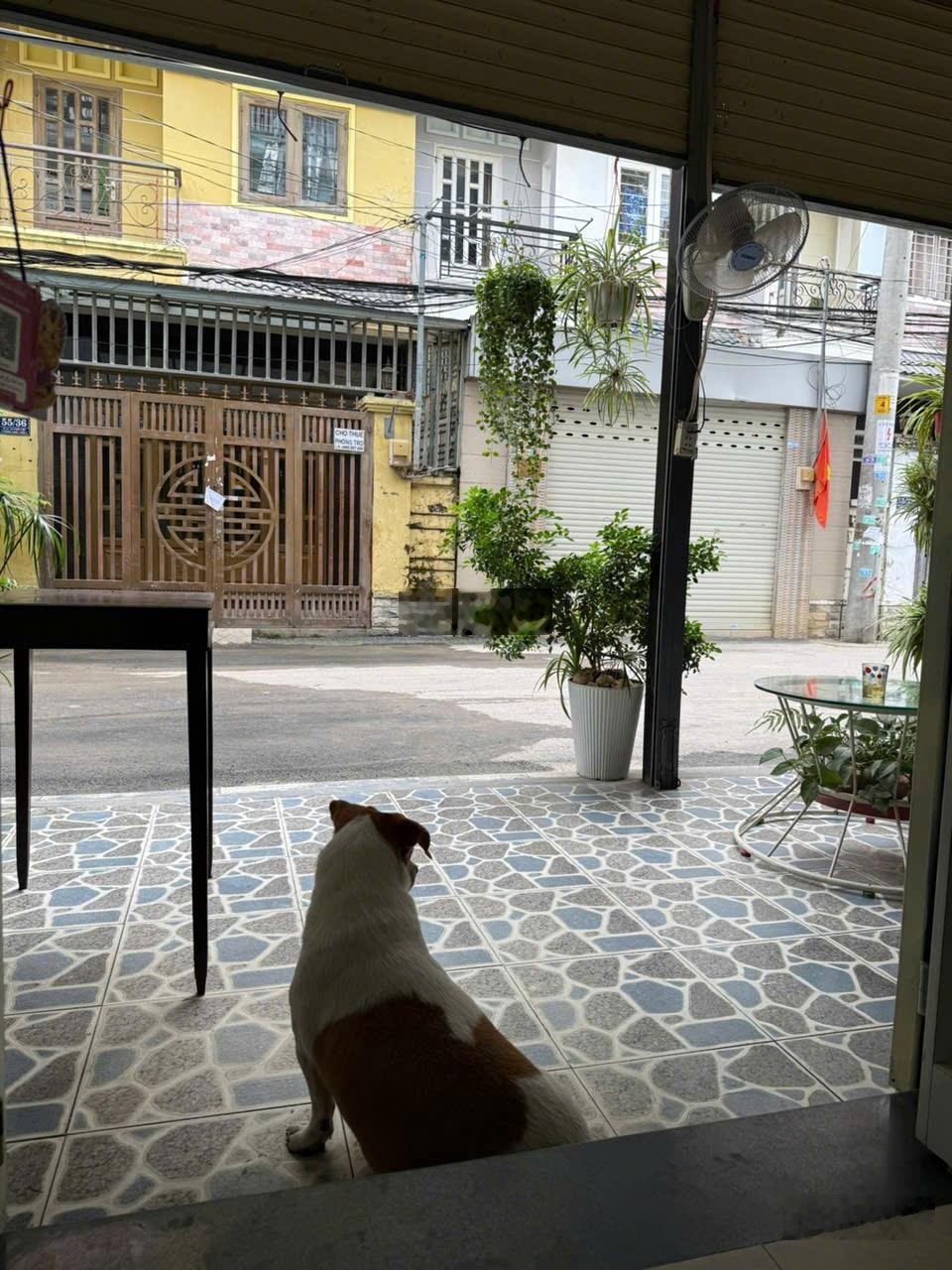 CHO THUÊ TẦNG TRỆT Vừa ở vừa KD. NGANG 6M chỉ 4,8 tr/th