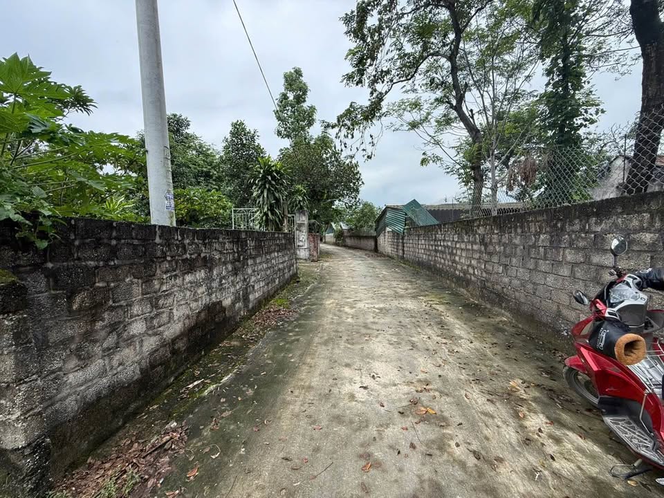 Đất Vĩnh Phúc 200m2, 2 sổ, ô tô tránh, giá hời