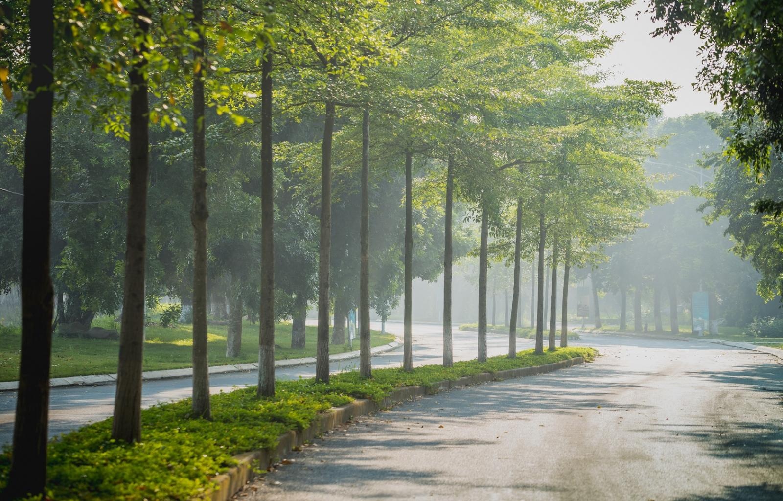 Cho thuê 2 ngủ , 50m2 sử dụng, đủ đồ - chung cư Westbay Ecopark - Giá 6tr5/tháng