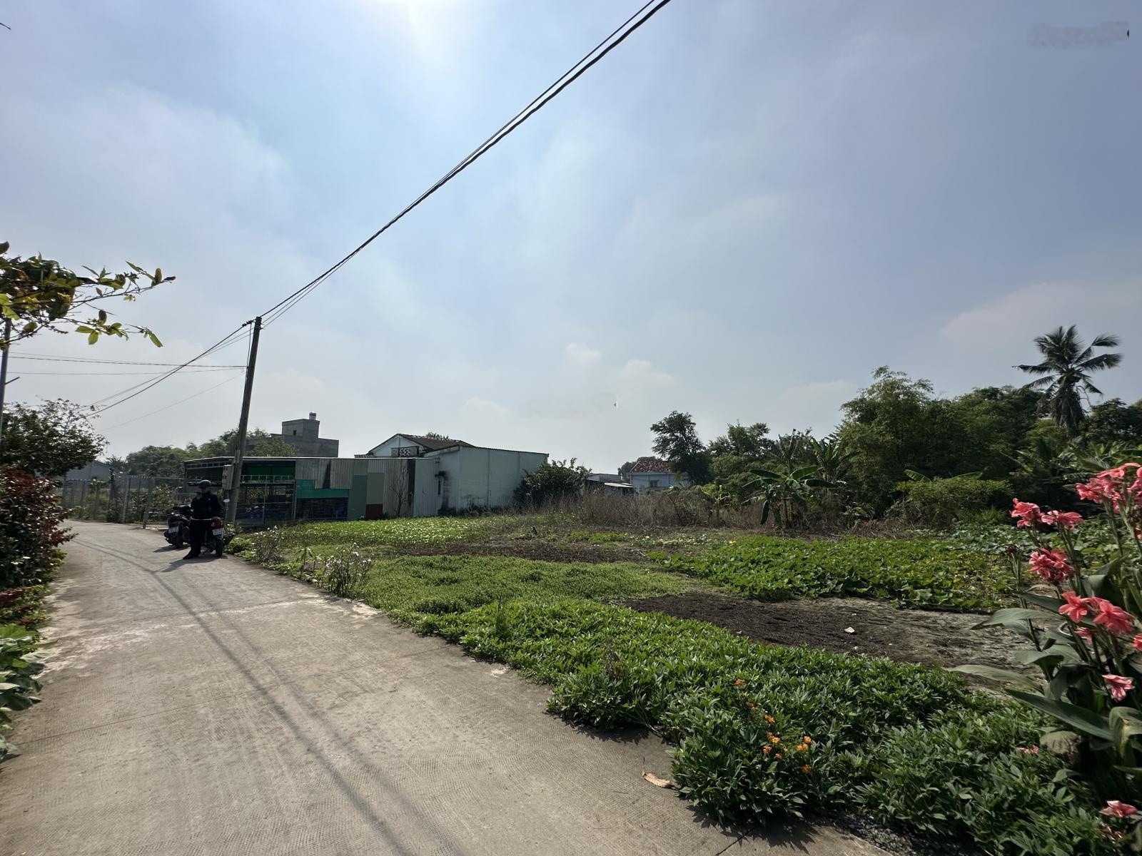 Chỉ 1tỷ250 - full giáp - 124m2 - 100% thổ cư - Cần Giuộc - Long An