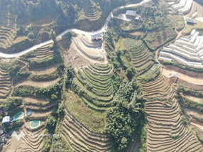 Bán đất tại Thôn Sả séng, Xã Tả Phìn, Lào cai.View thung lũng mây