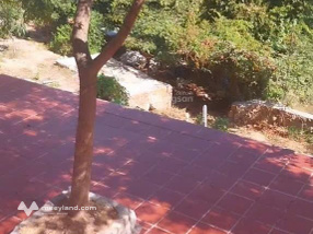 Bán 2000m2 khu Homstay đang xây dựng dở dang trong dân