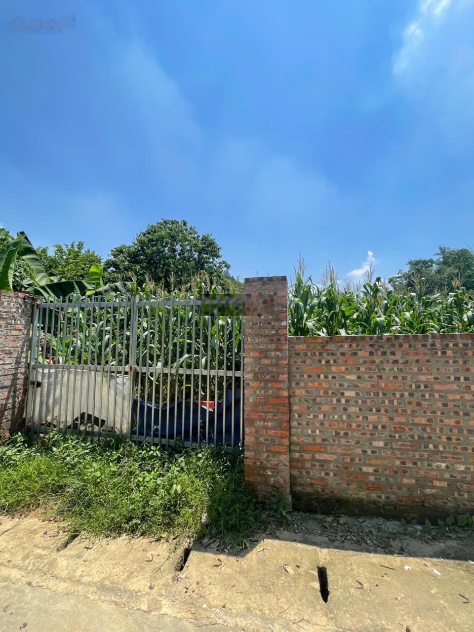 Chính chủ cần bán lô đất xóm Nhàn, Tiến Xuân, Thạch Thất, DT 1600m2, cạnh KĐT Xanh Villa, Sổ đỏ sẵn