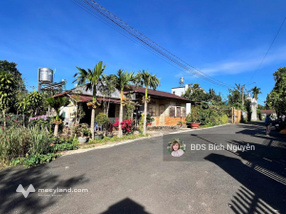 Đất đẹp hẻm Tây Sơn - P2 Bảo Lộc