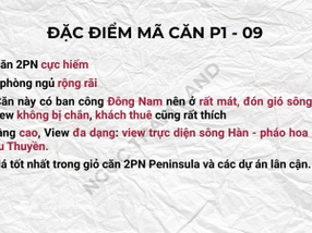 Bán CCCC Peninsula 2PN view pháo hoa, ngay sát cạnh Sun Symphony, mặt tiền Trần Hưng Đạo