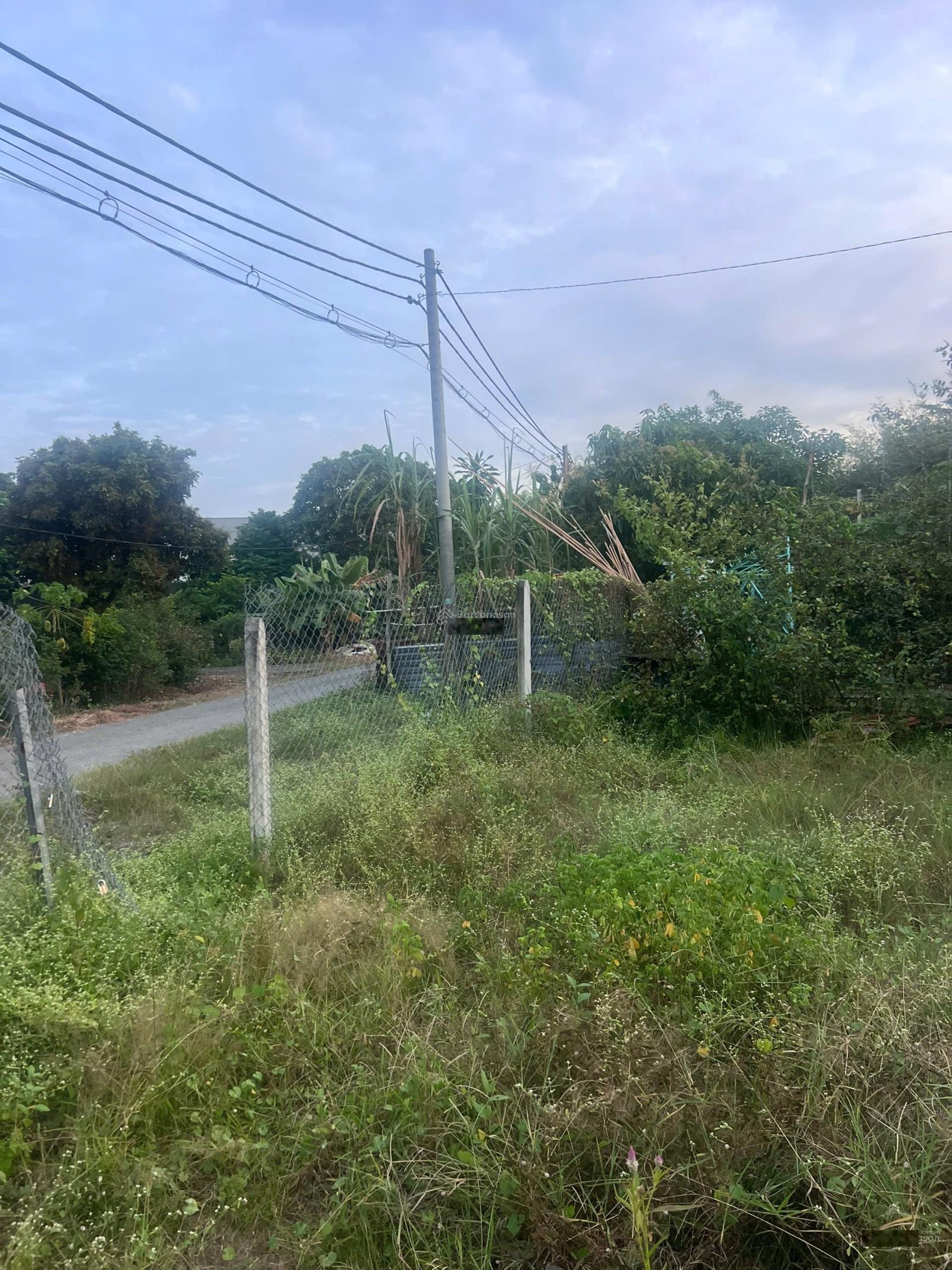 - Bán lô đất thổ cư ngay đường Tỉnh Lộ 2, Trung Lập Hạ, Củ Chi, gần KCN Tây Bắc, TT CỦ CHI.