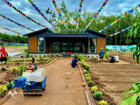 Ngang 5m dài 50m, có 100m thổ cư