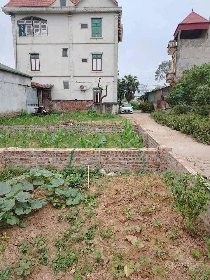 Bán đất Thái Bình, Mai Lâm, Đông Anh. Trong đê. Tài chính 4.066 tỉ sở hữu ngay. Đất sát bìa làng