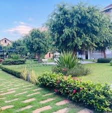 Tôi có miếng đất làm nhà vườn vườn ở Long Phước Q9 gần Vin Long Phước chuẩn bị làm cần bán giá rẻ