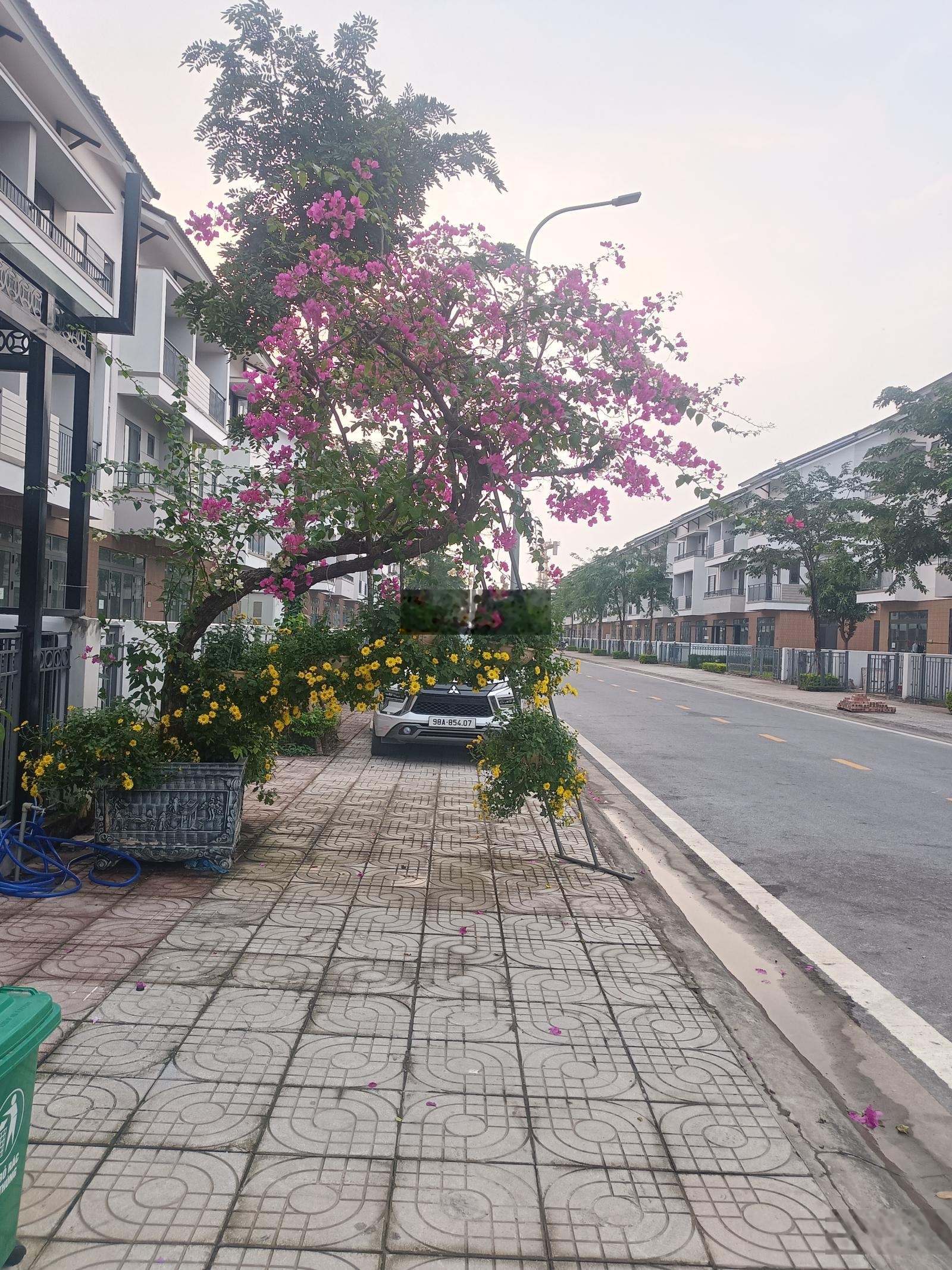 Bán shophouse hoàn thiện đẹp trong khu đô thị Singapore, đang cho thuê 16tr/ tháng