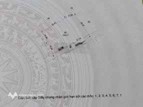 ĐẸP LẮM CÁC BÁC ƠI Chủ nhà không có thời gian chăm sóc nên nhượng lại cho bác nào yêu thích vườn tư