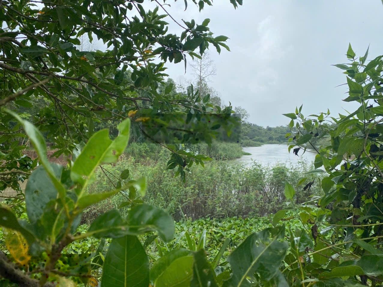 Bán đất tại thị trấn Phước Bửu, giá 6,5 tỷ, diện tích 558,4 m2, view đẹp