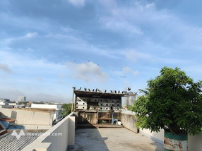 Nhà 2 lầu 1 trệt và 6 phòng trọ gần Chợ Đầu Mối Thủ Đức