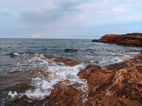 Sang nhượng / bán tiệm cà phê cầu my - cô tô - quảng ninh