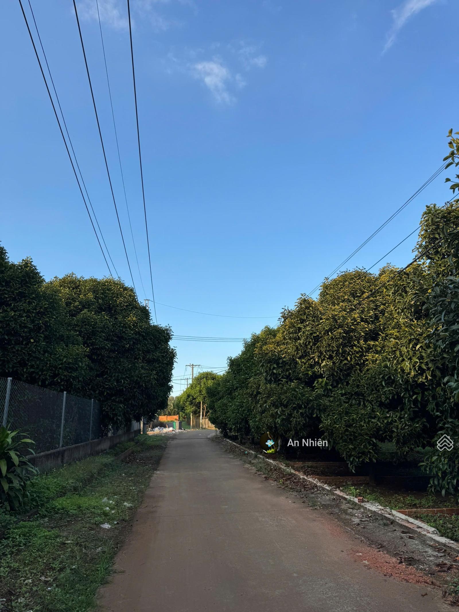 Chốt Nhanh Kẻo Lỡ Thổ Cư Dầu Giây Đồng Nai, Giá Cực Mềm , Sổ Hồng Riêng, Sang Tên Nhanh