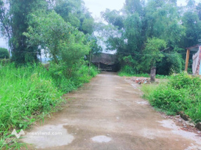 Bán Đất 101m2 tại Đại Cường, 390 triệu, Đại Lộc, Quảng Nam