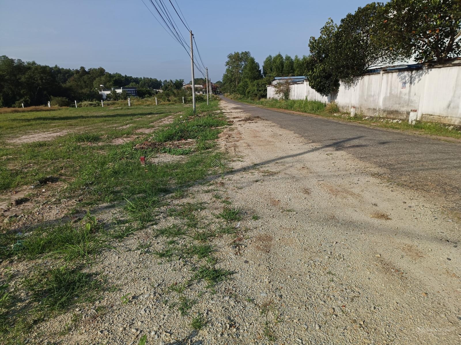 Đất nền bán gấp ở Hắc Dịch, 1,6 tỷ, 125m2, mặt tiền 5m, ngõ 10m