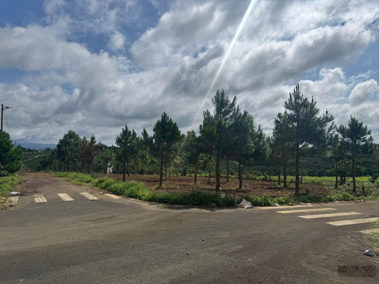 Bán đất Lộc Tân phường 2 Bảo Lộc giá tốt