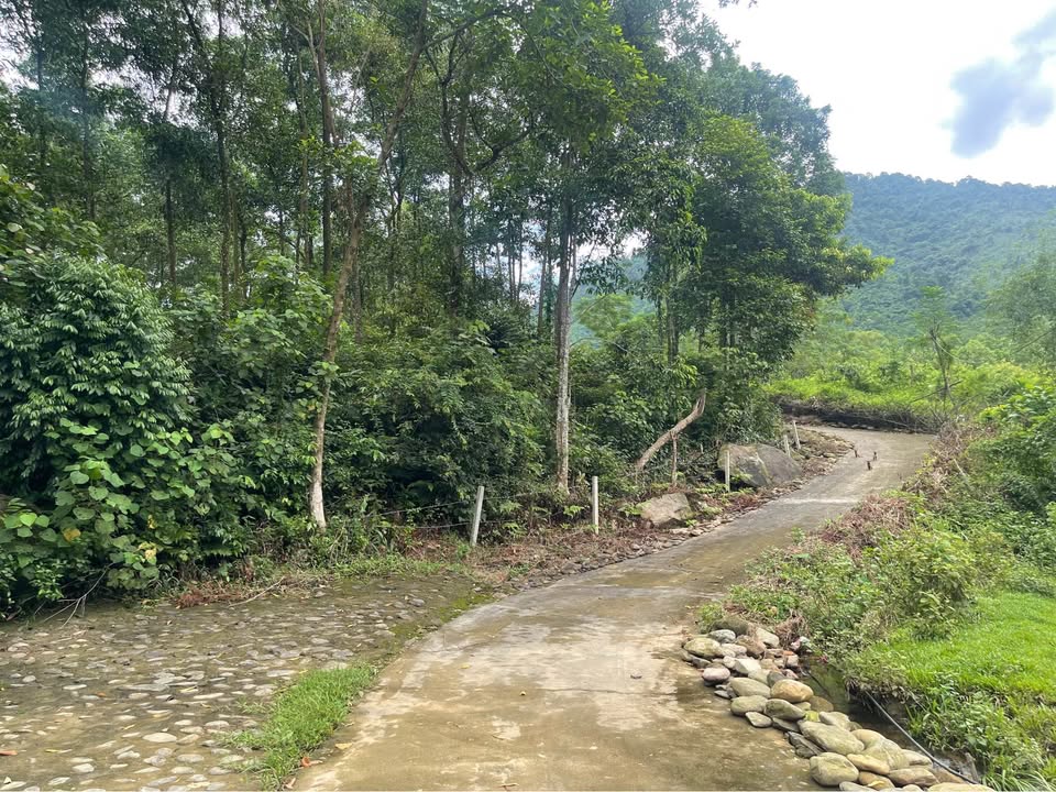 Bán đất nghỉ dưỡng view suối 6500m2 tại Phổ Yên, Thái Nguyên