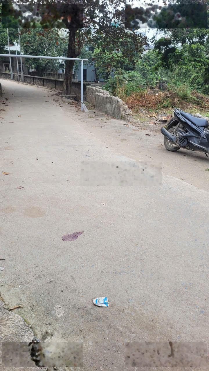 Bán 40m2 đất tại Phụng Châu, Đường rộng 8m, trục chính kinh doanh nhỏ,sổ đỏ chính chủ