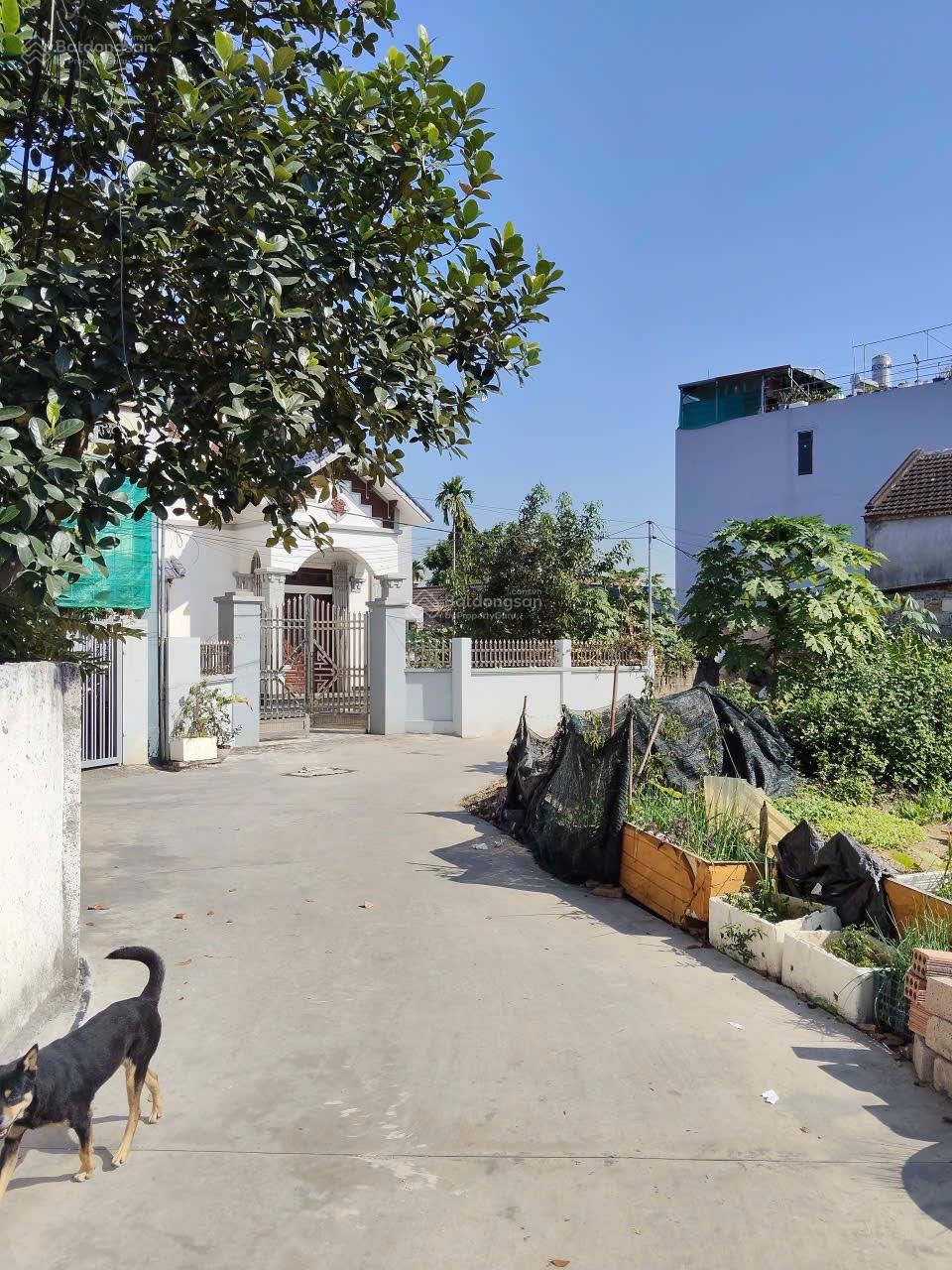 Chủ nhà gửi bán lô đất đẹp tại tổ dân phố hầu lâm động thủy nguyên