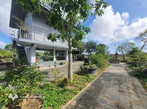 Bán nhà vườn nghỉ dưỡng kết hợp nhà yến Nghĩa Thương - Tư Nghĩa | Gần 1.800m² đất ở