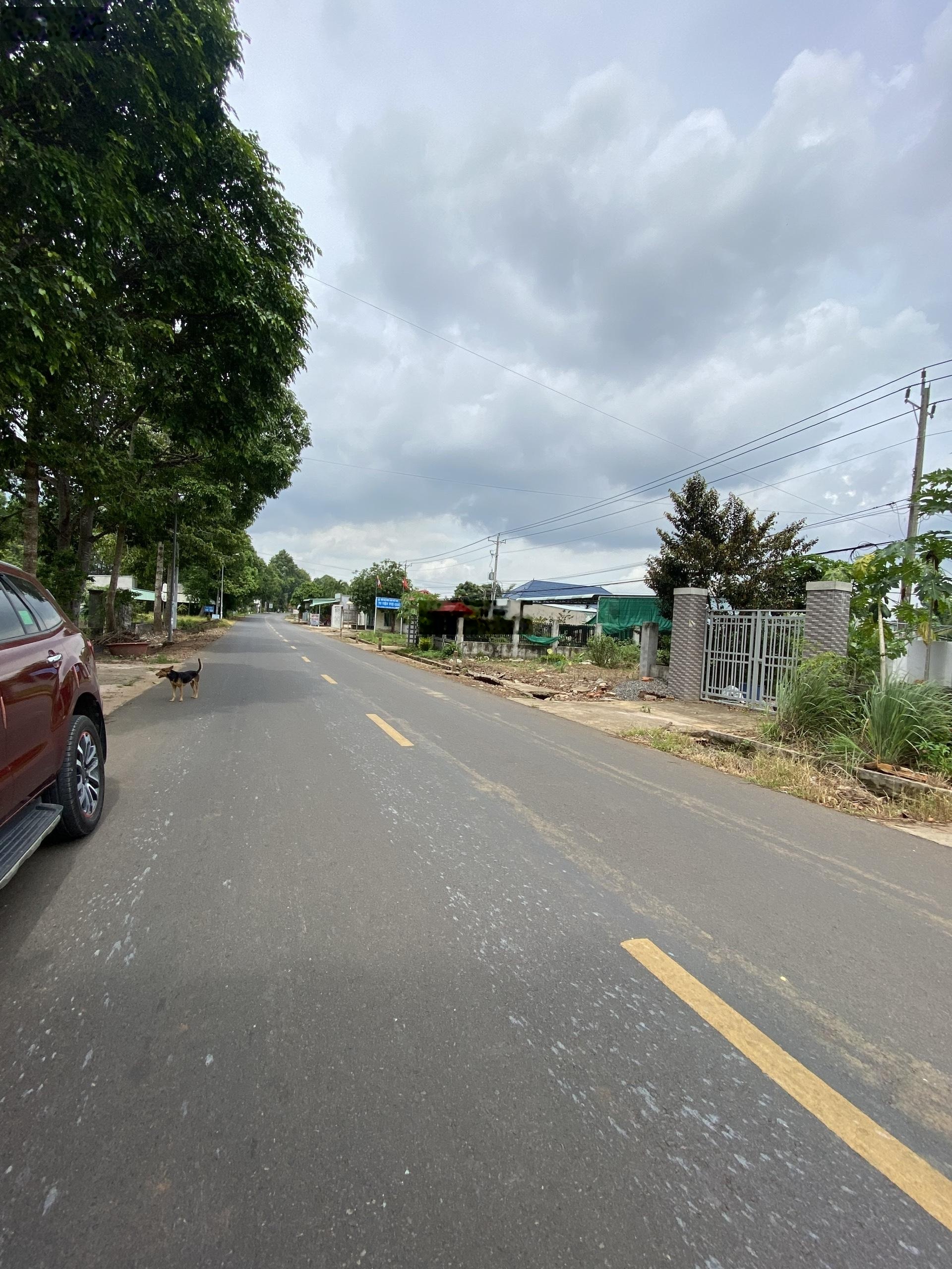 Bán biệt thự vườn, mặt tiền đường Lê Đức Thọ - Trung tâm TP. Phú Mỹ nay là phường Tân Thành TP HCM